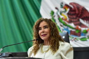 Solicitan diputados más recursos para la FEM para el año 2026