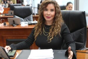 Le Costó 3 Mdp Al Colegio Teresiano Caso De Bullying La Diputada María Antonieta Pérez Reyes