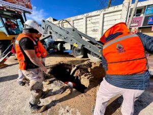 Repara JMAS fuga de agua en Tecnológico y Simona Barba