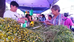 Celebran el Domingo de Ramos en Juárez con un llamado a vivir con fe la Semana Santa