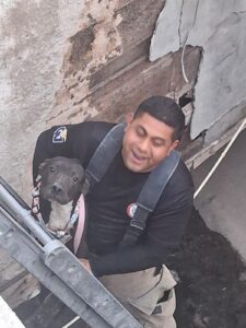 Departamento De Bomberos Rescatan A Un Perro Negro