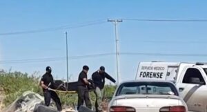 Localizan Cadáver Calcinado En El Suroriente Pedregal de San Isidro