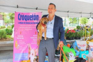 Apoya a perros y gatos vulnerables: invita Municipio al “Croquetón”