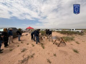 Localiza FGE osamenta incompleta durante segundo día de rastreo