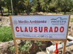 PROFEPA frena al Municipio de Juárez en El Chamizal; detecta derribo de árboles y abre procedimientos de sanción