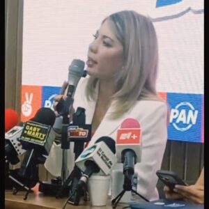 Rechaza La Dirigente Estatal De Acción Nacional Daniela Álvarez Retirar Espectaculares Contra El IMSS