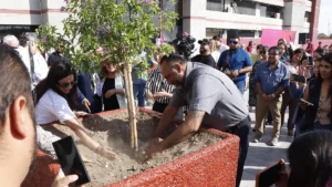 Lanza Municipio programa Adopta una Jardinera para rehabilitar áreas verdes