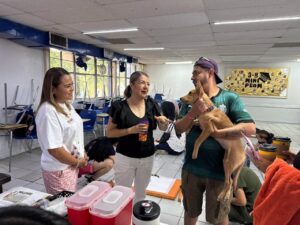 Gestiona Rosana Díaz jornada masiva de esterilización; atienden a 419 perros y gatos en Ciudad Juárez