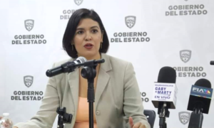 LLEGAN UNIDADES MOVILES DE LICENCIAS A LOS CENTROS COMERCIALES